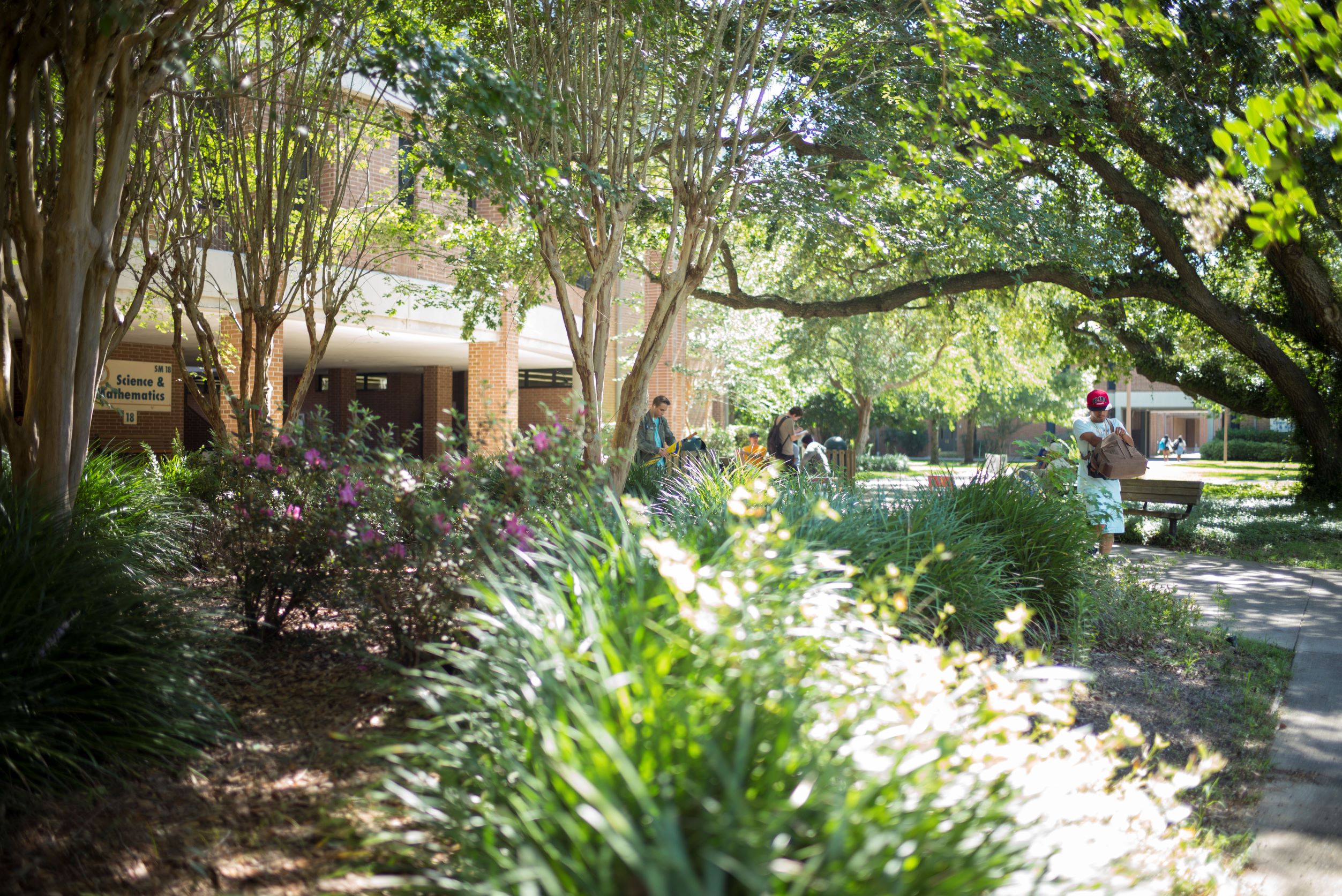 Walkway on campus