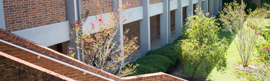 Courtyard with crepe myrtles and grass shot from the top of a brick staircase