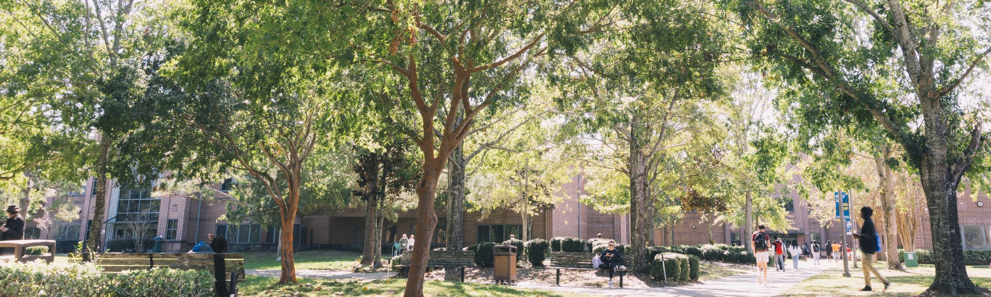 Student walkway on a sunny day.