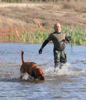 An officer and his bloodhound trekking through a river.