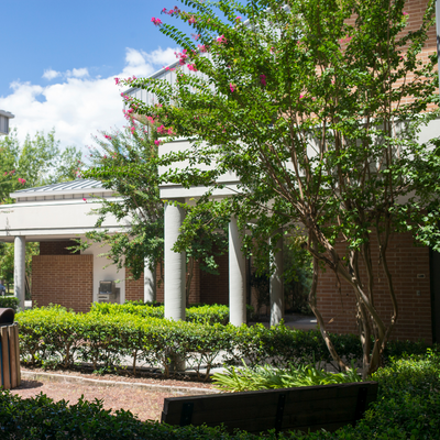 Students walking on campus on a sunny day