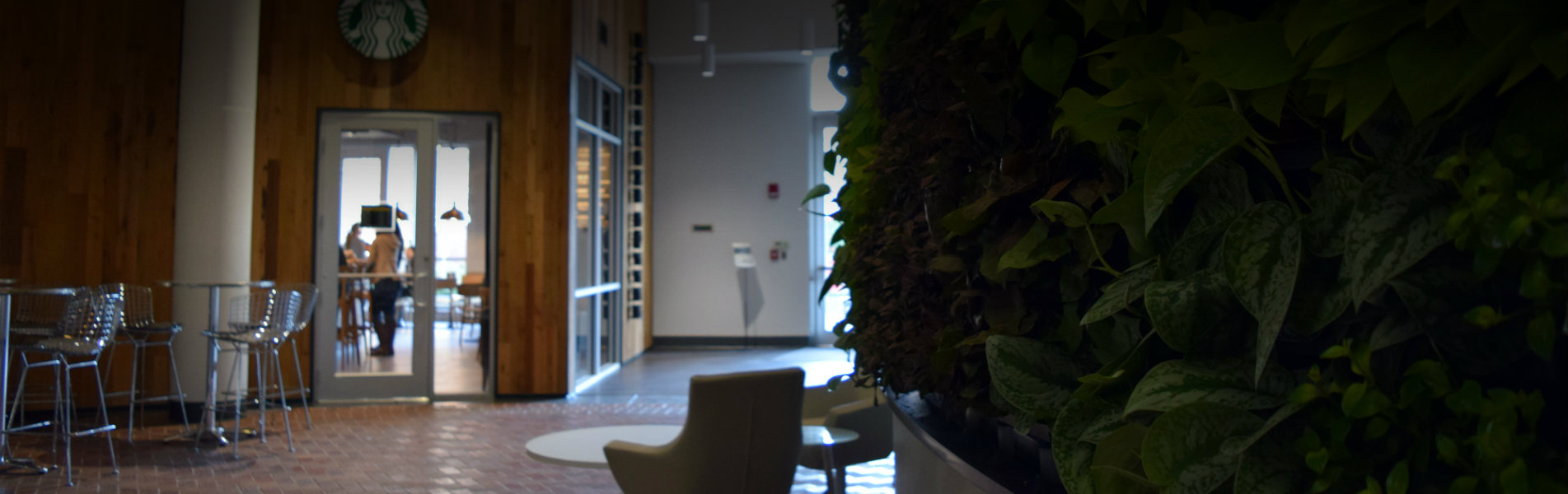 Living wall in TCC Center for Innovation lobby